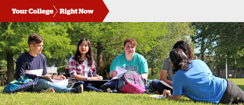 Students sitting on the lawn at the main campus
