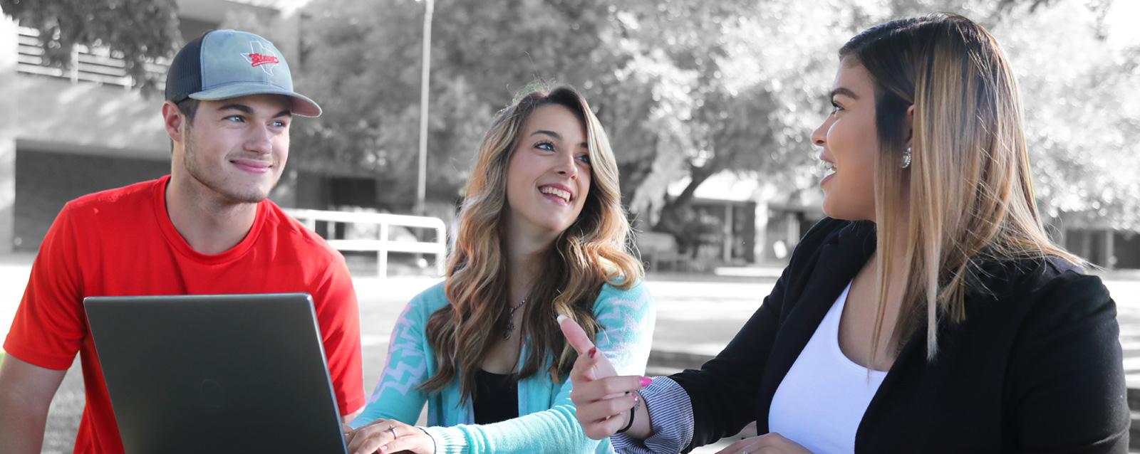 Banner image