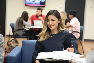 Student studying in Learning Commons