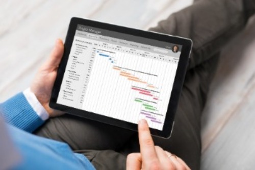 Search Timeline